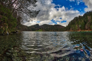 Alatsee