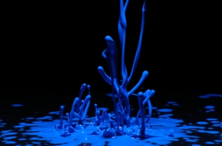 Color in Motion - Blue