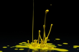 Color in Motion