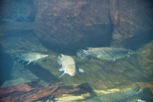 Underwater World_10