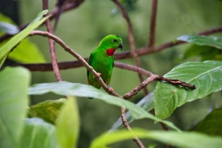 Wildlife Park