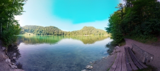 Alatsee