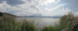 Hopfen am See