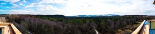 Schwarzes Moor